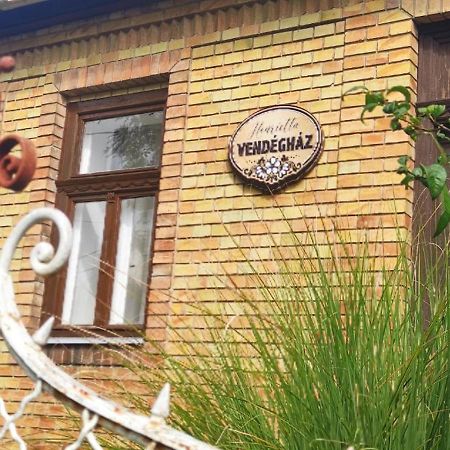 Henrietta Vendeghaz Lägenhet Domoszlo Exteriör bild